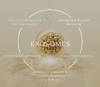 Exosome -tái sinh tế bào